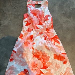 vintage picnic dress